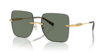 Damskie okulary przeciwsłoneczne Michael Kors, MK 1150 18963H55