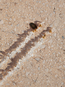 Łańcuszek do okularów Coco Bonito Olaya Chain